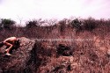 Desierto 4
