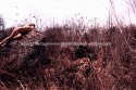 Desierto 6