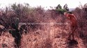 Desierto 7
