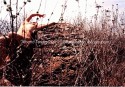 Desierto 8