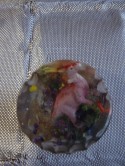 paleobocha
