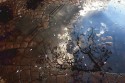 REFLEJOS DE LA NATURALEZA