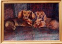 Yankee and Mazie