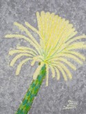 Flor de cactus