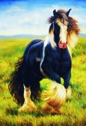 Caballo