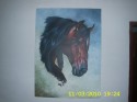 cabeza de caballo