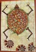 tortuga