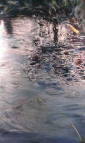 gentle rain