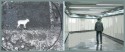 Tunel