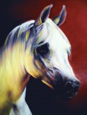 Caballo Blanco