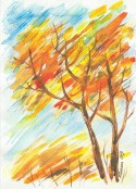 autumn