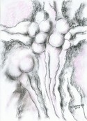 eskimo