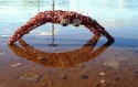 chaucha marron