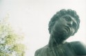 Roma VIII