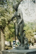 Roma X