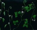 Su jardin