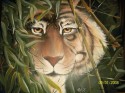 con mirada de tigre