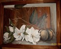 magnolias