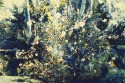 Jungle Garden