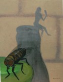 la mosca en la pared