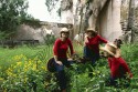 MULTIPLICIDAD SESGADORA