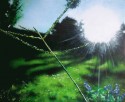 Enchantée- Solitario