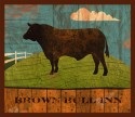 Brown Bull Inn