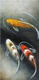 Three Winter Koi