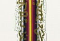 Gestual XV