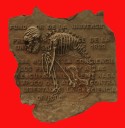 Letrado