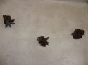 Estrellas oscuras