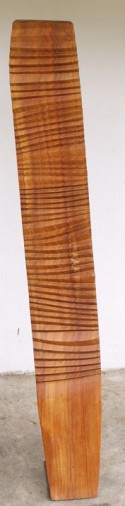 pliegues