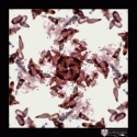 Blood Cross