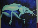 ESCARABAJO