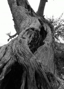 Love Nature
