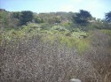 Zuma Beach 2
