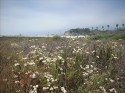 Zuma Beach 6