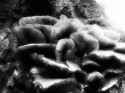 desastre
