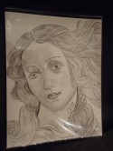 The Face of Venus