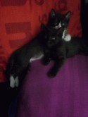 Brothers