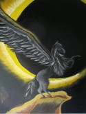 Black Pegasus