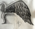 Agel wing
