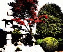 Japanese reflections no. 2