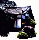 Japanese reflections no. 24
