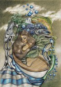 Terra incognita - andre schmucki