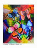 butterflies