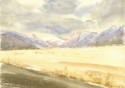 New Zealand Aotearoa no. 12