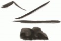Japan 1989 studies no. 2
