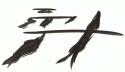 Japan 1989 studies no. 5