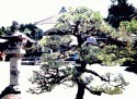 Japan Posterization 1989 studies no. 14